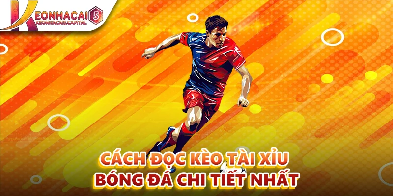 Cách Đọc Kèo Tài Xỉu Bóng Đá Chi Tiết